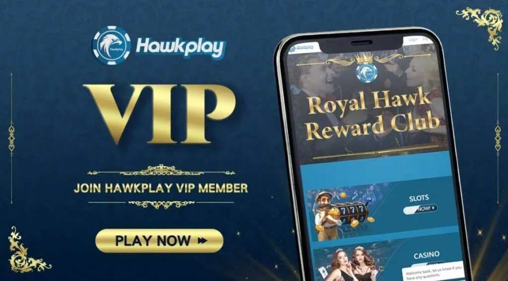 hawkplay-1